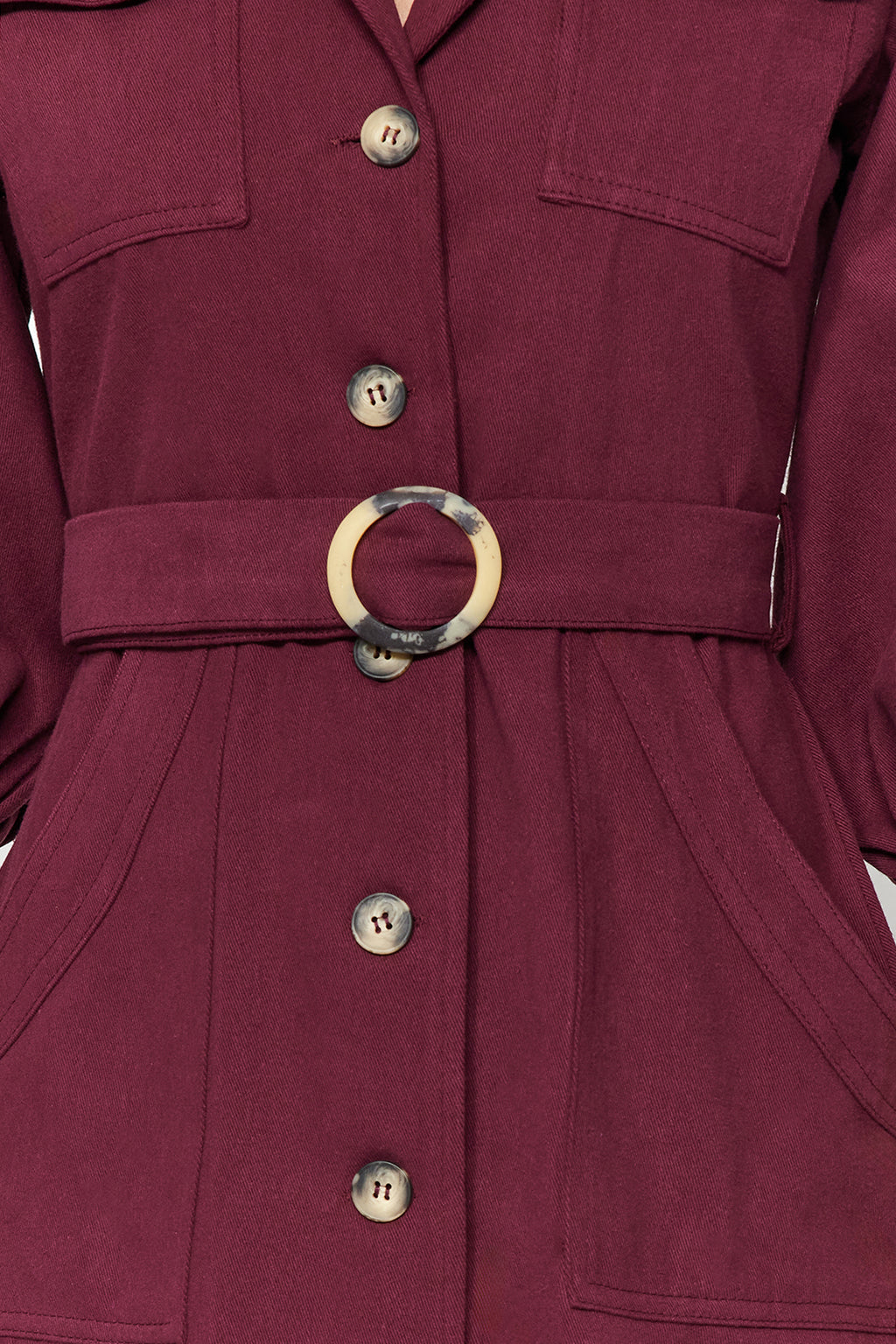 Belted Button Detail Long Sleeve Mini Shirt Dress
