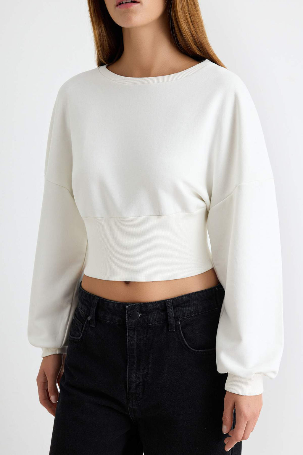 Crew Neck Long Sleeve Regular Fit Crop Sweatshirt