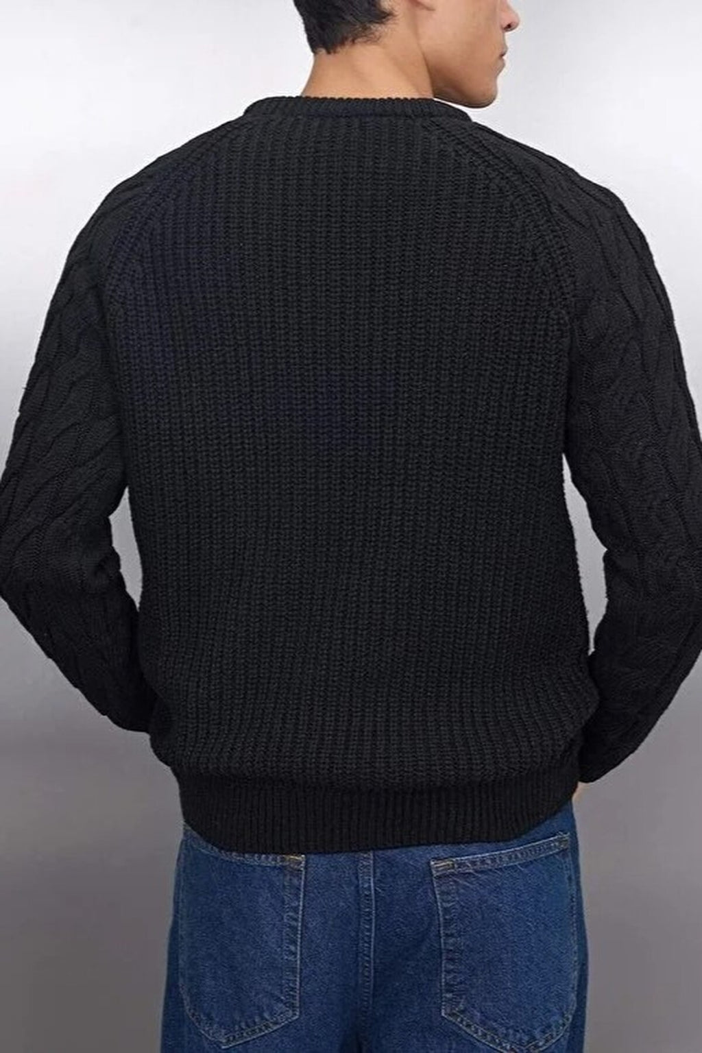 Regular Fit Woolen Crew Neck Knit Sweater with Hair Knitting Detail