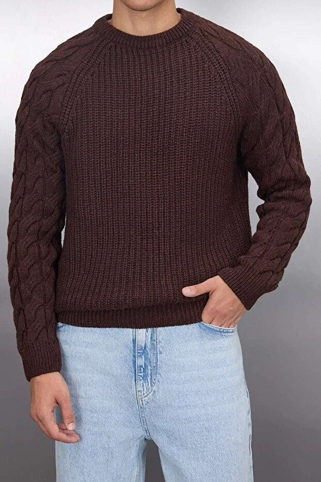 Regular Fit Woolen Crew Neck Knit Sweater with Hair Knitting Detail