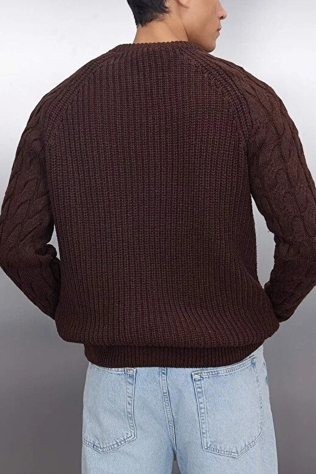 Regular Fit Woolen Crew Neck Knit Sweater with Hair Knitting Detail
