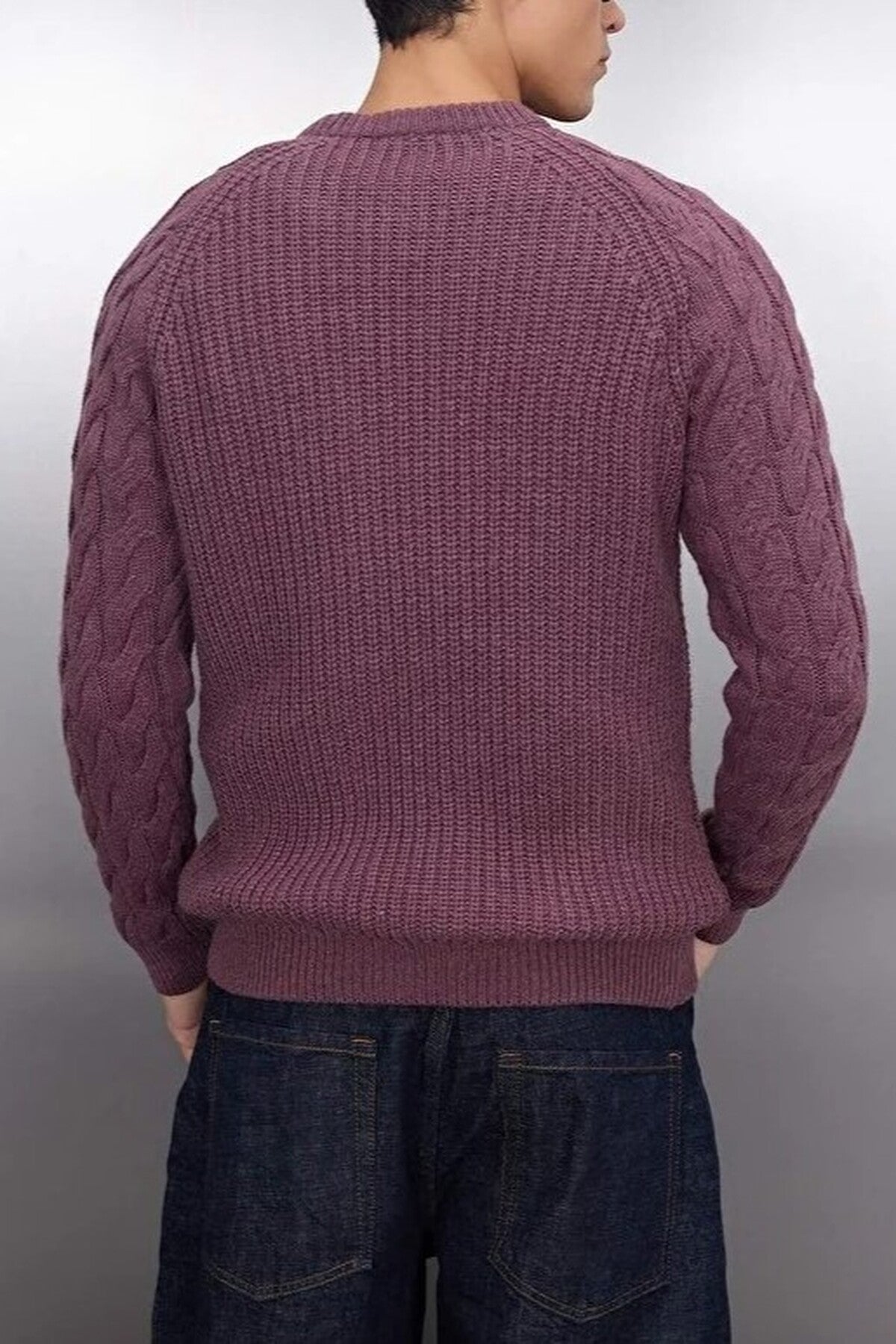 Regular Fit Woolen Crew Neck Knit Sweater with Hair Knitting Detail