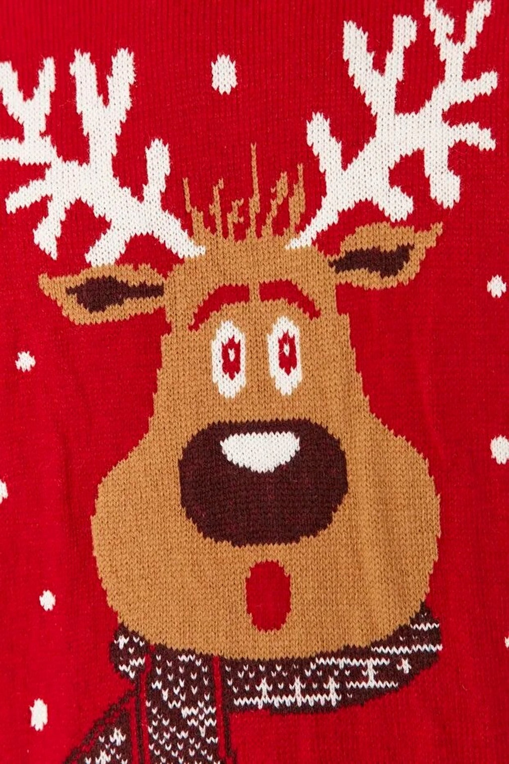 Crew Neck Deer Patterned Christmas Knit Sweater
