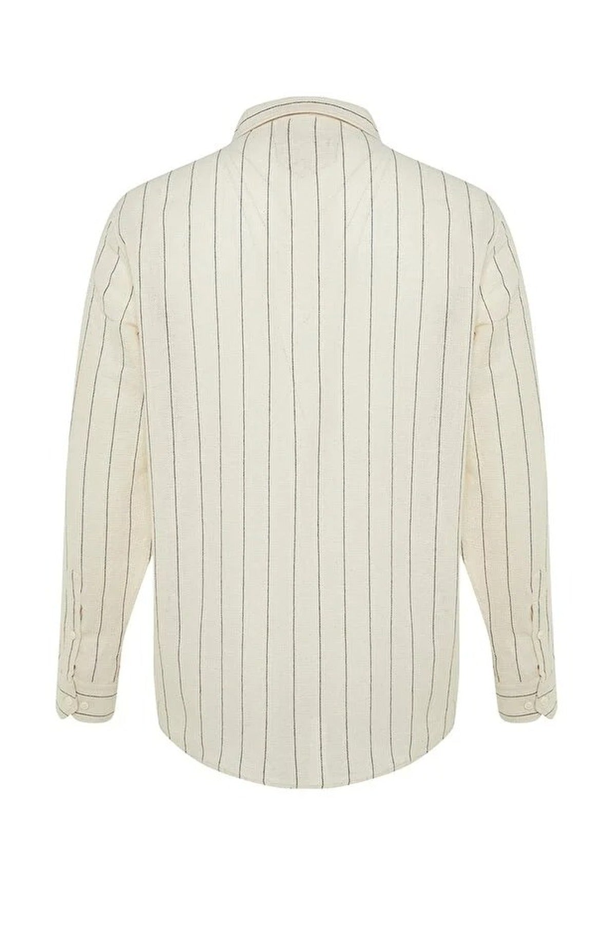 Striped Regular Fit Textured Shirt