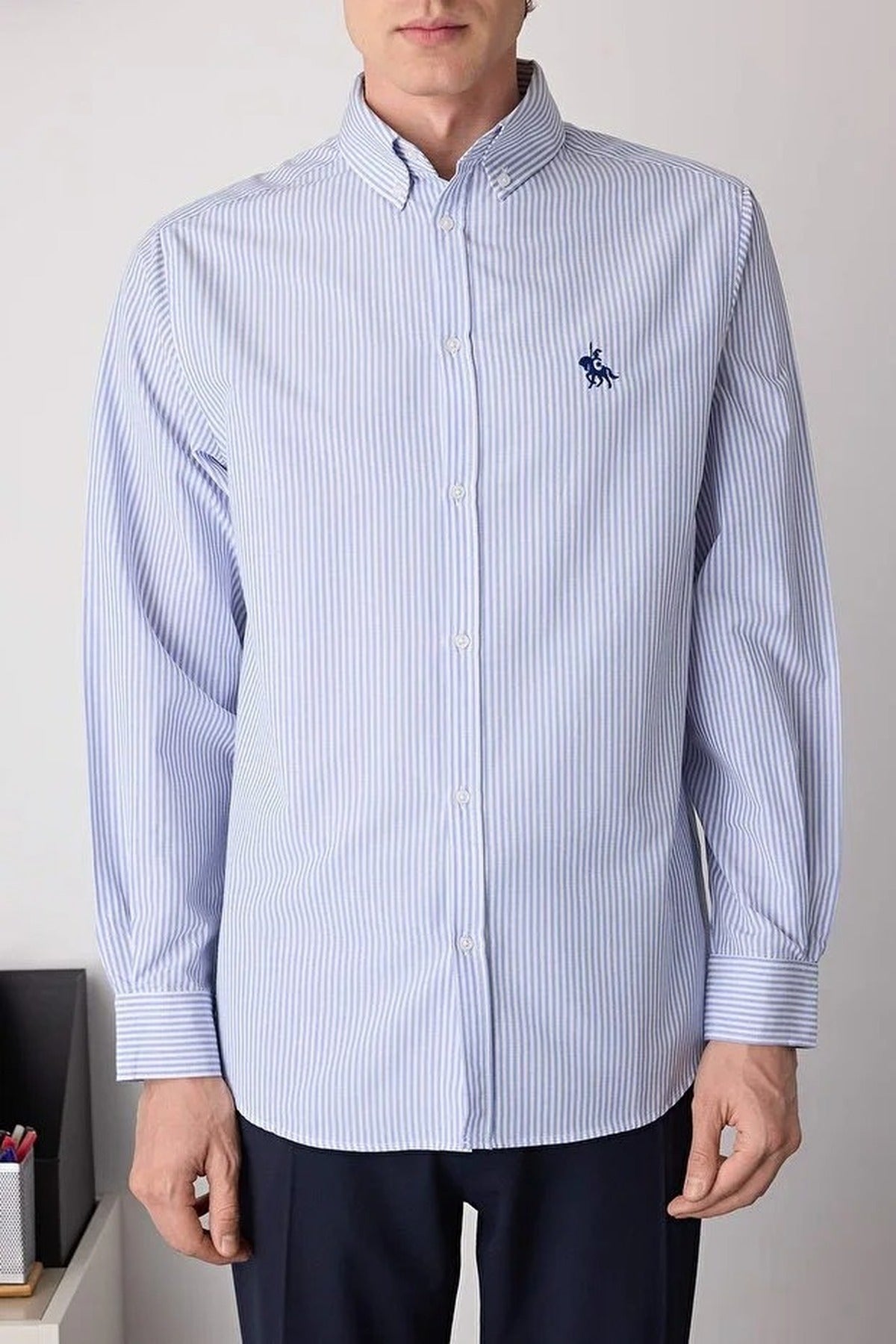Regular Fit Striped Embroidered Shirt