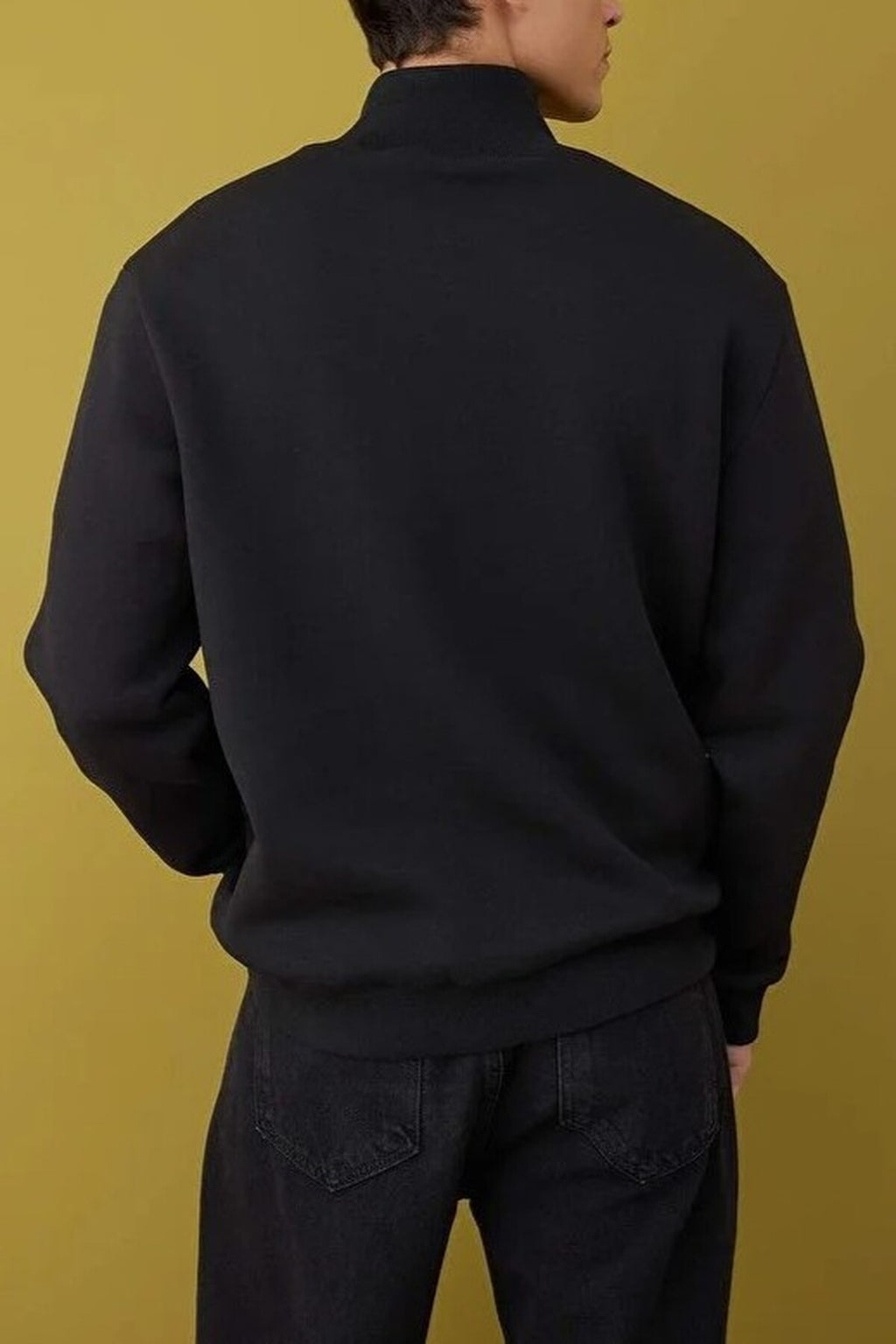 Regular Stand Collar Sweatshirt with Thick Polar Fleece Inside