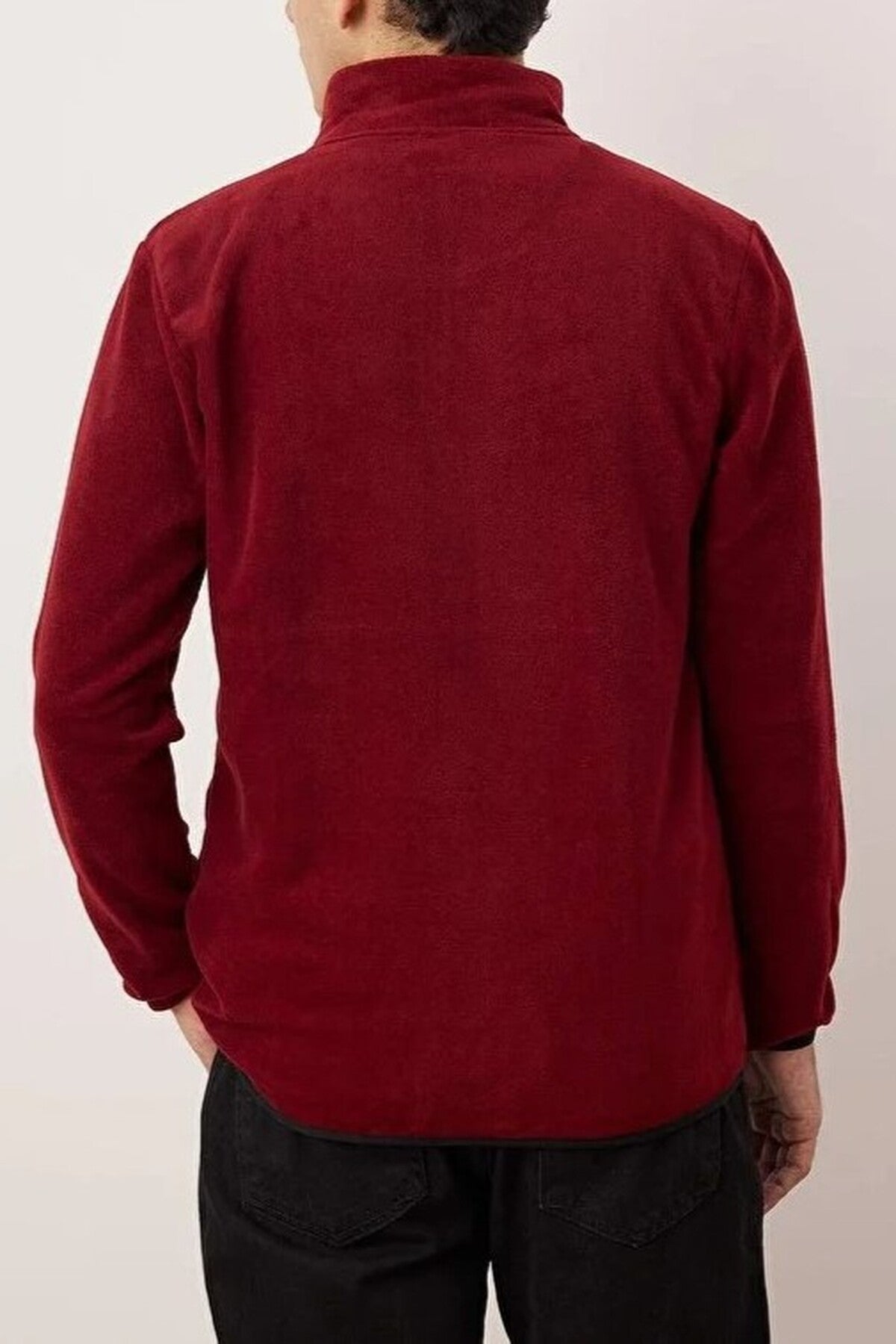 Regular Stand Collar Zippered Polar Fleece Sweatshirt with Stitching Details