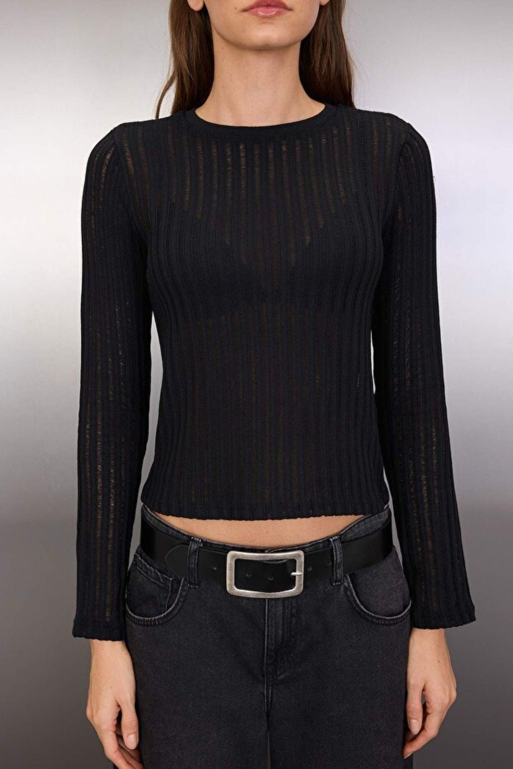 Transparent Crew Neck Knit Blouse