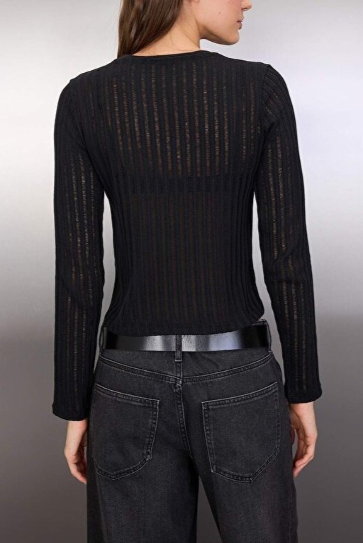 Transparent Crew Neck Knit Blouse