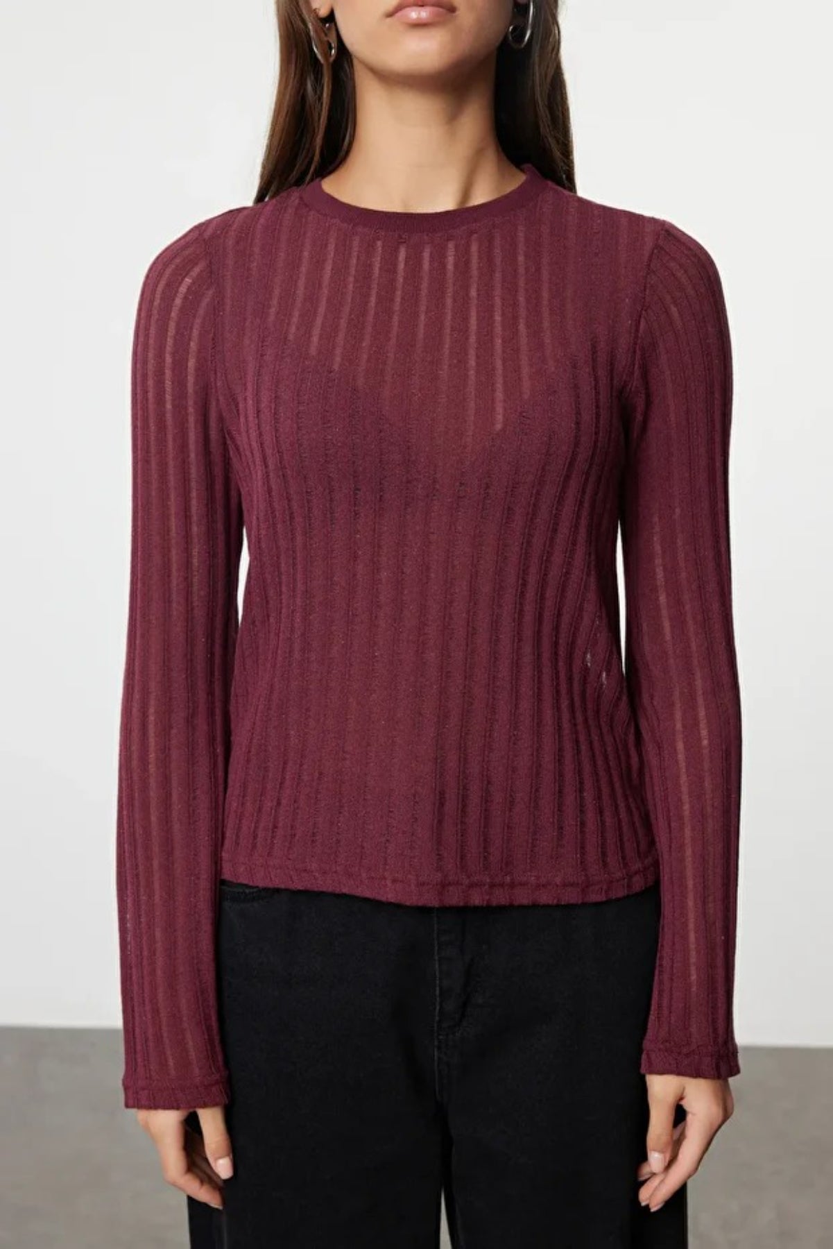 Transparent Crew Neck Knit Blouse