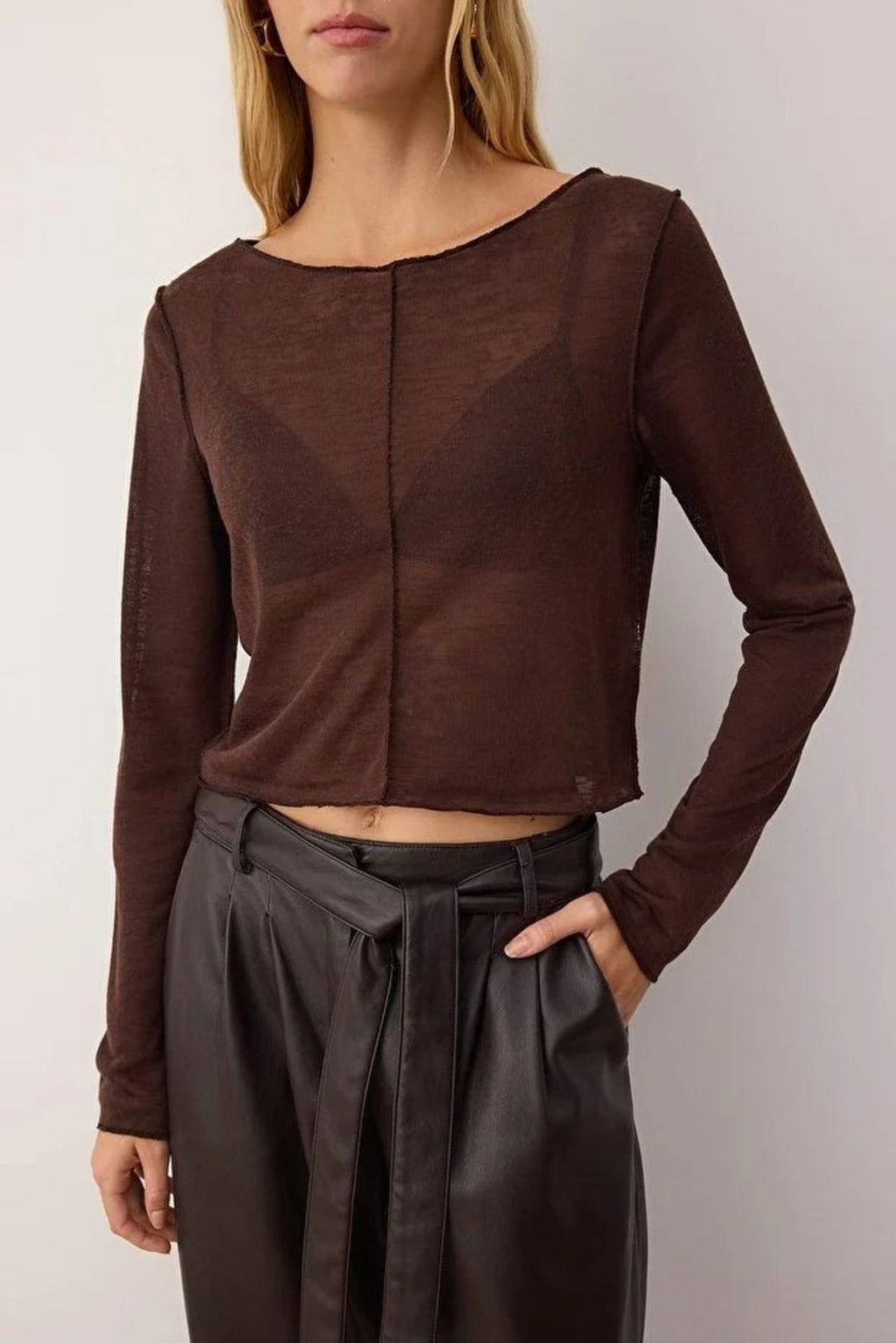 Transparent Ribbed Crop Knit Blouse