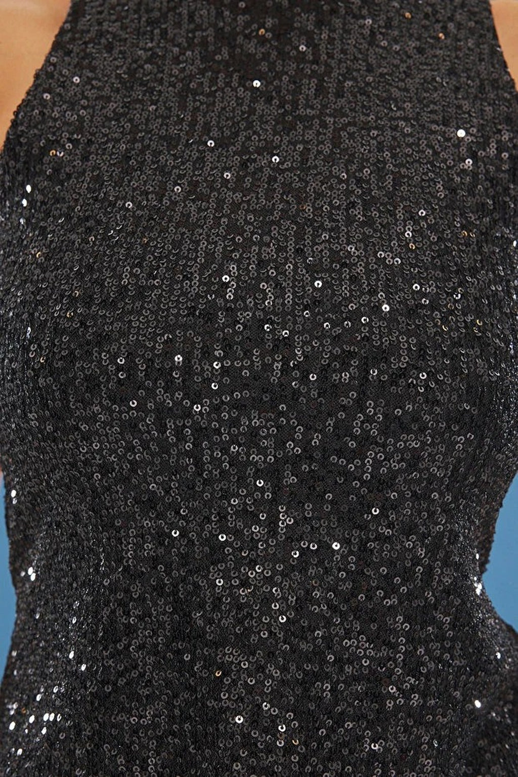 Glittery Sequin Knit Blouse with Back Detail