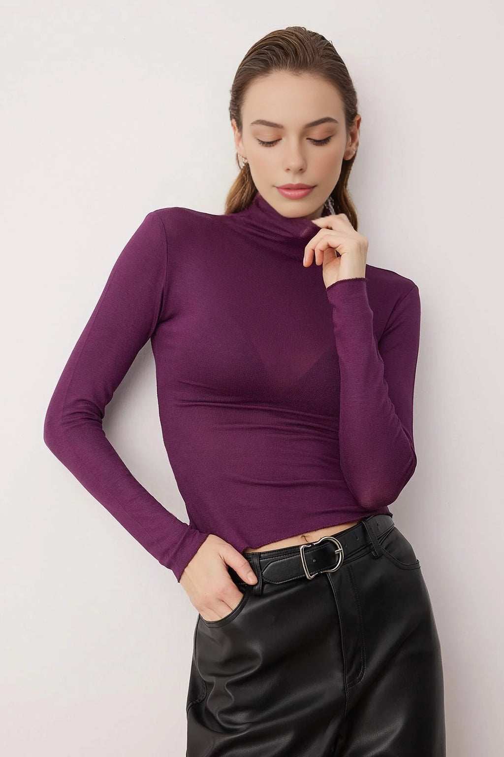 Transparent Stand Collar Flexible Regular Knit Blouse