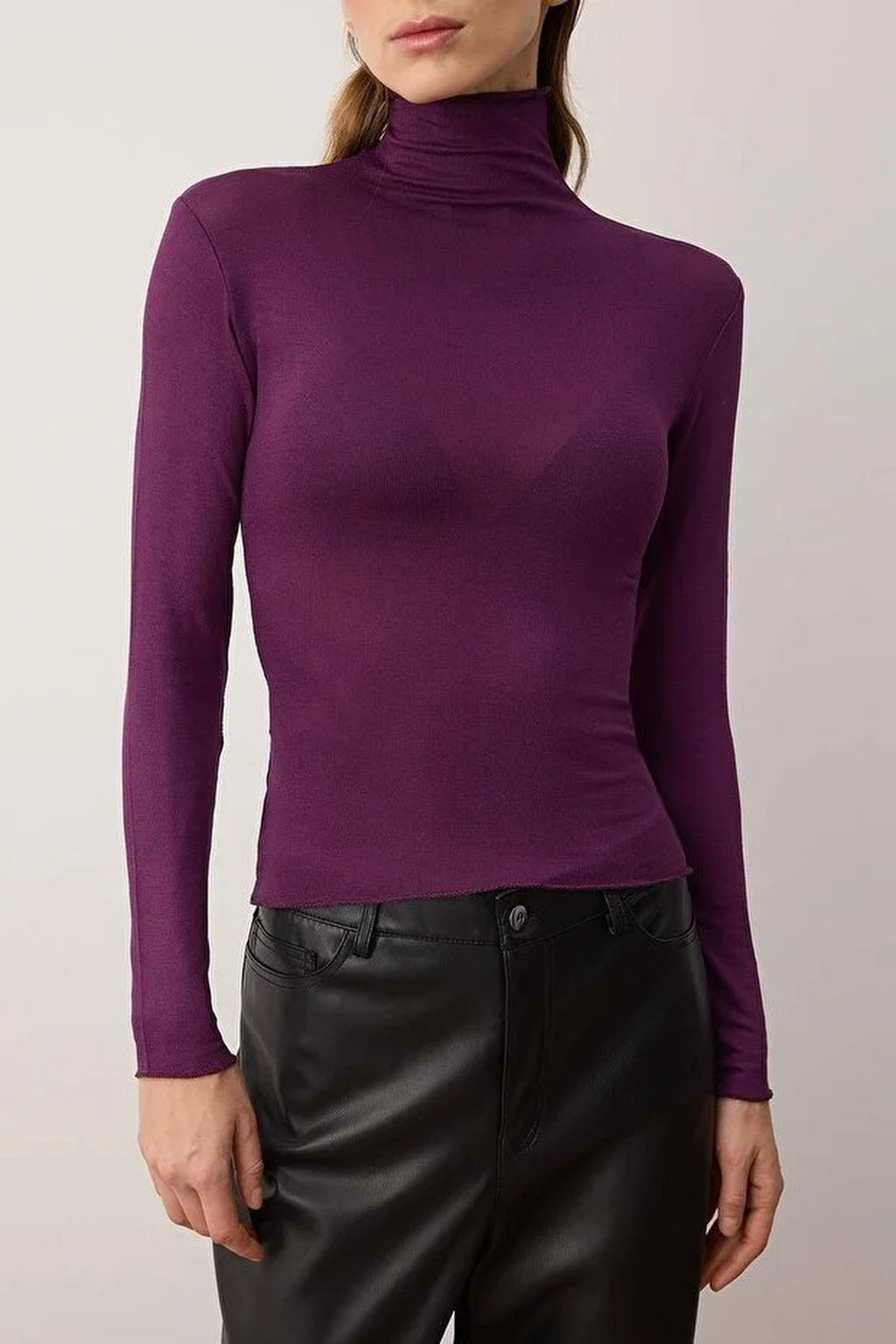 Transparent Stand Collar Flexible Regular Knit Blouse