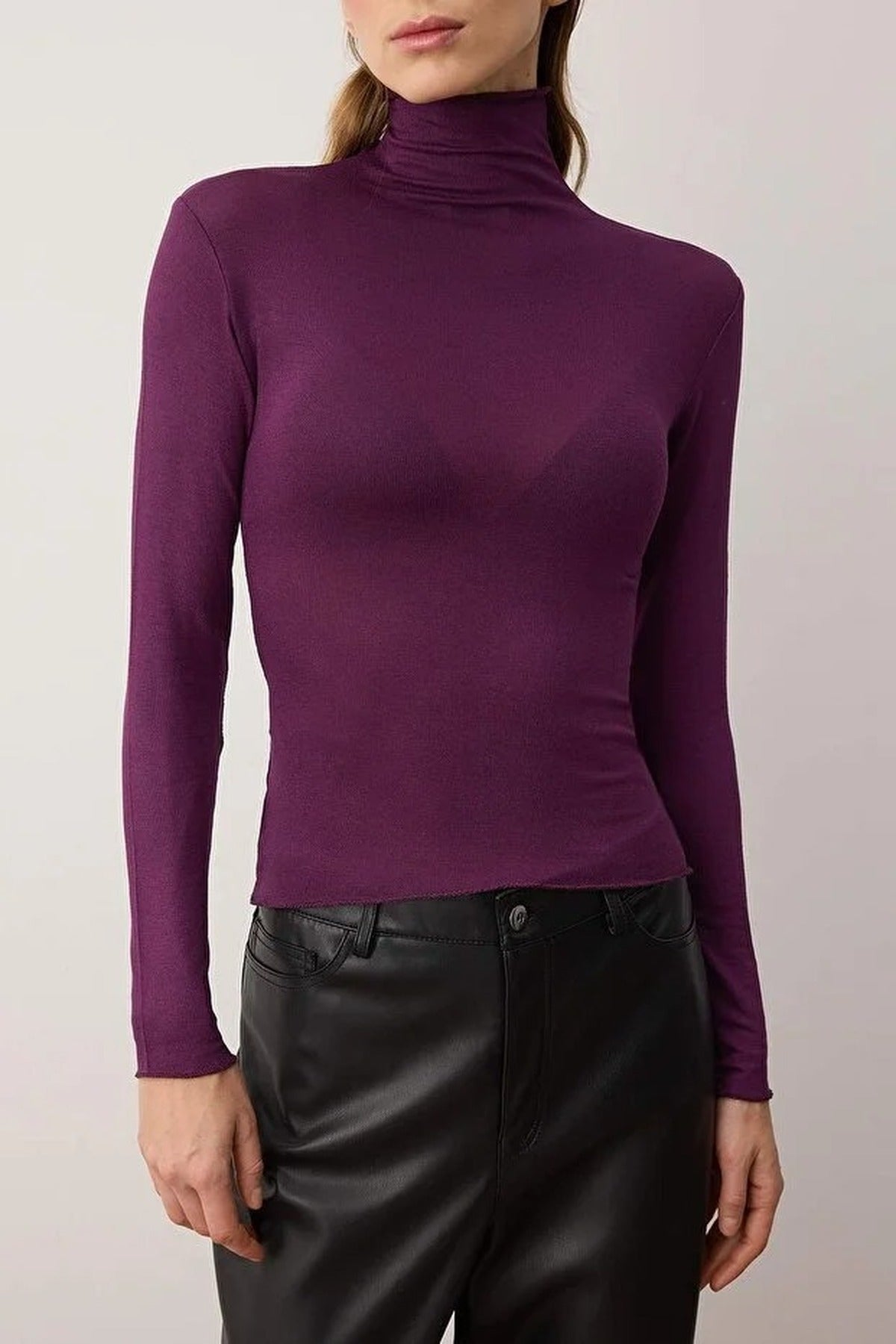 Transparent Stand Collar Flexible Regular Knit Blouse