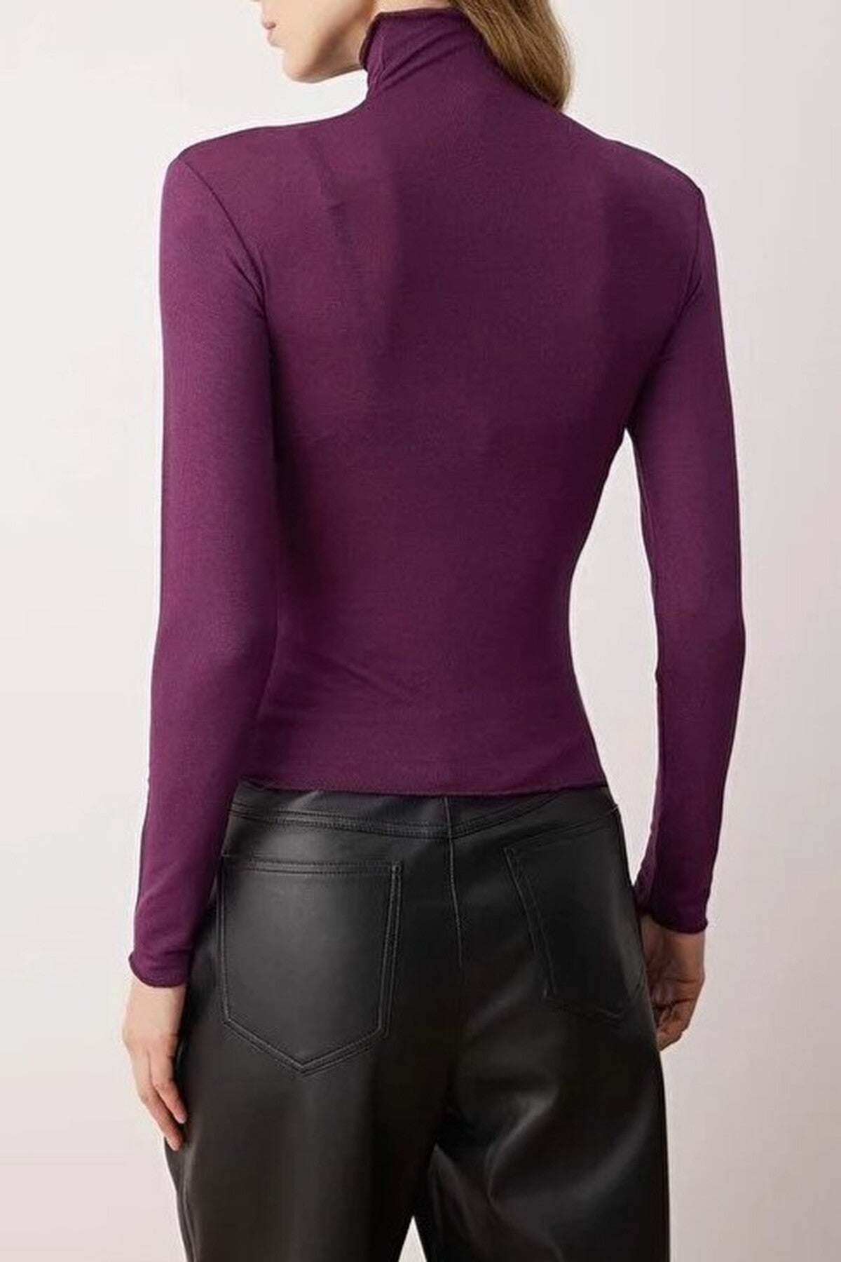 Transparent Stand Collar Flexible Regular Knit Blouse