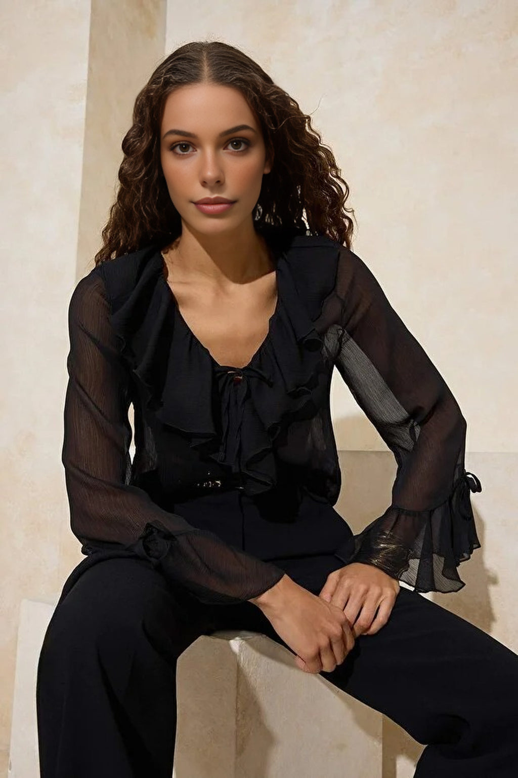 Ruffled Detail Transparent Chiffon Woven Blouse