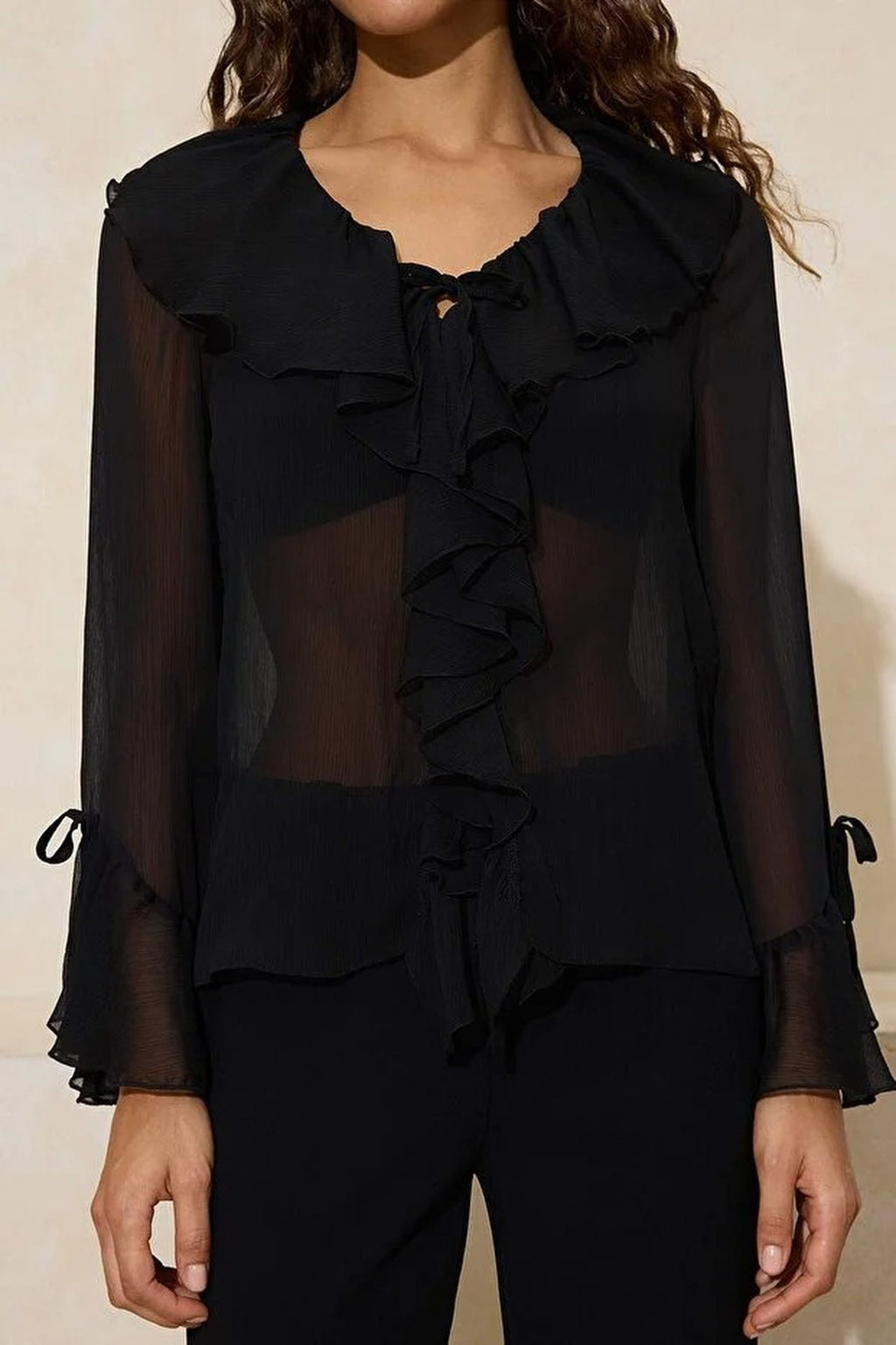 Ruffled Detail Transparent Chiffon Woven Blouse