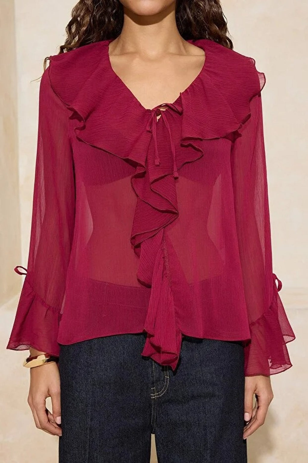 Ruffled Detail Transparent Chiffon Woven Blouse