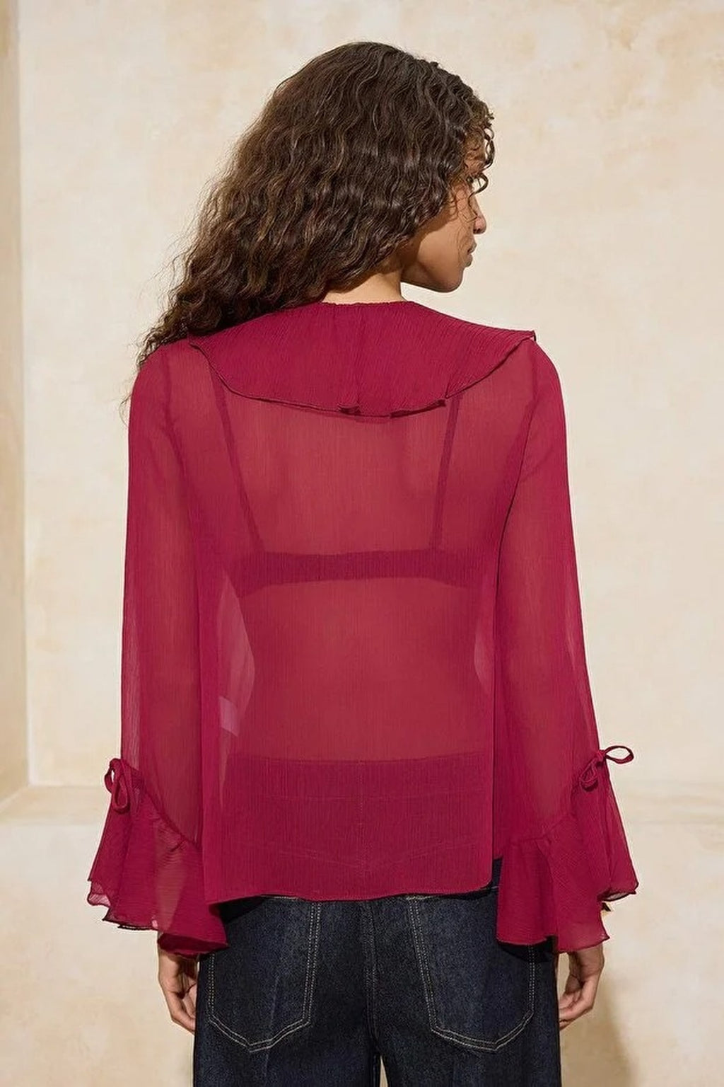 Ruffled Detail Transparent Chiffon Woven Blouse