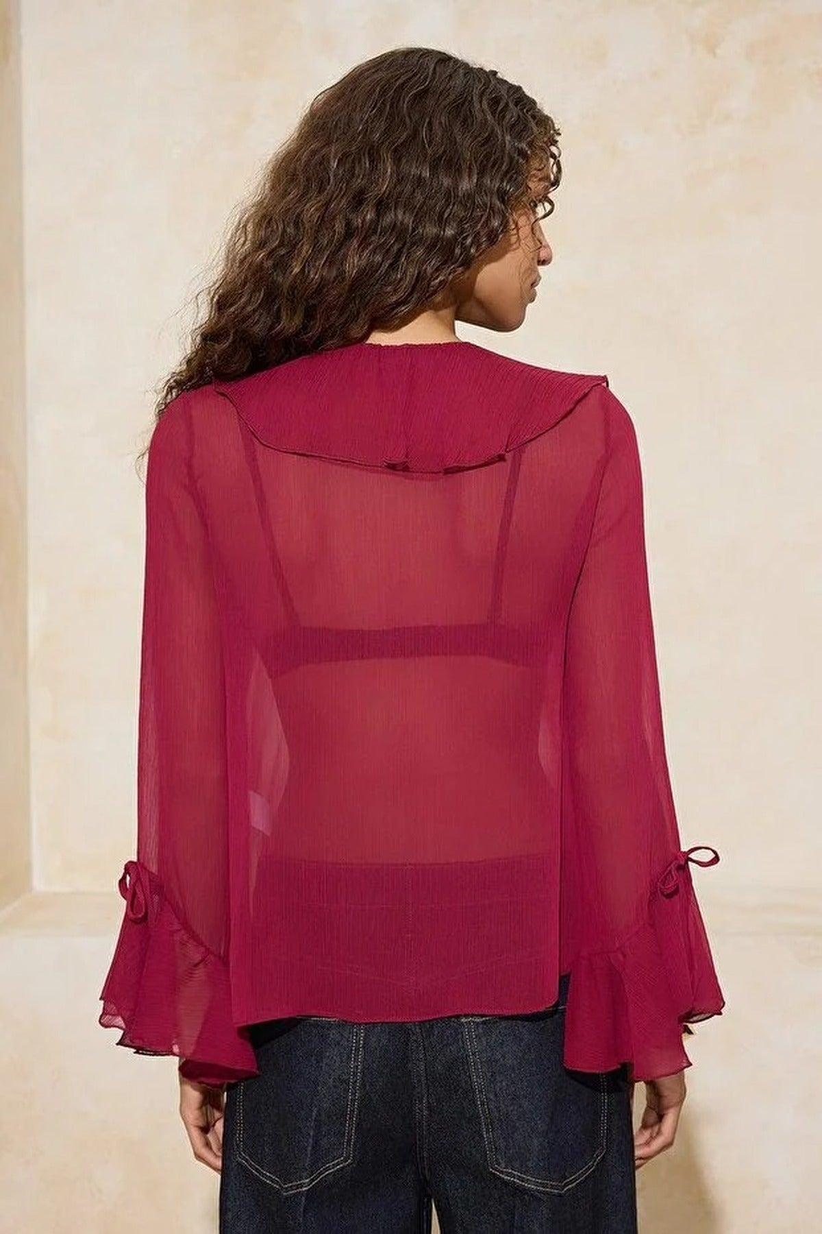 Ruffled Detail Transparent Chiffon Woven Blouse