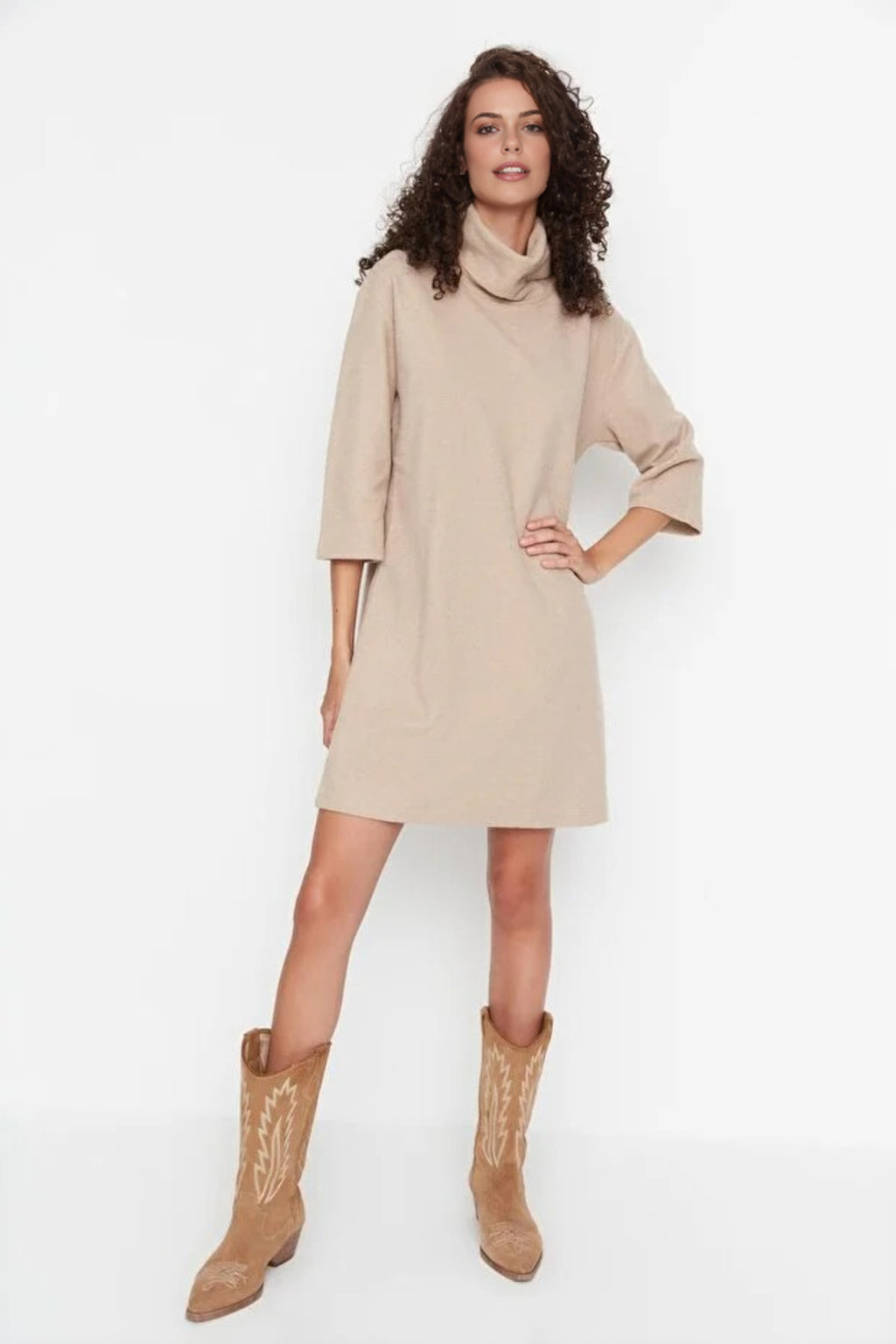 Turtleneck Long Sleeve Knit Mini Dress