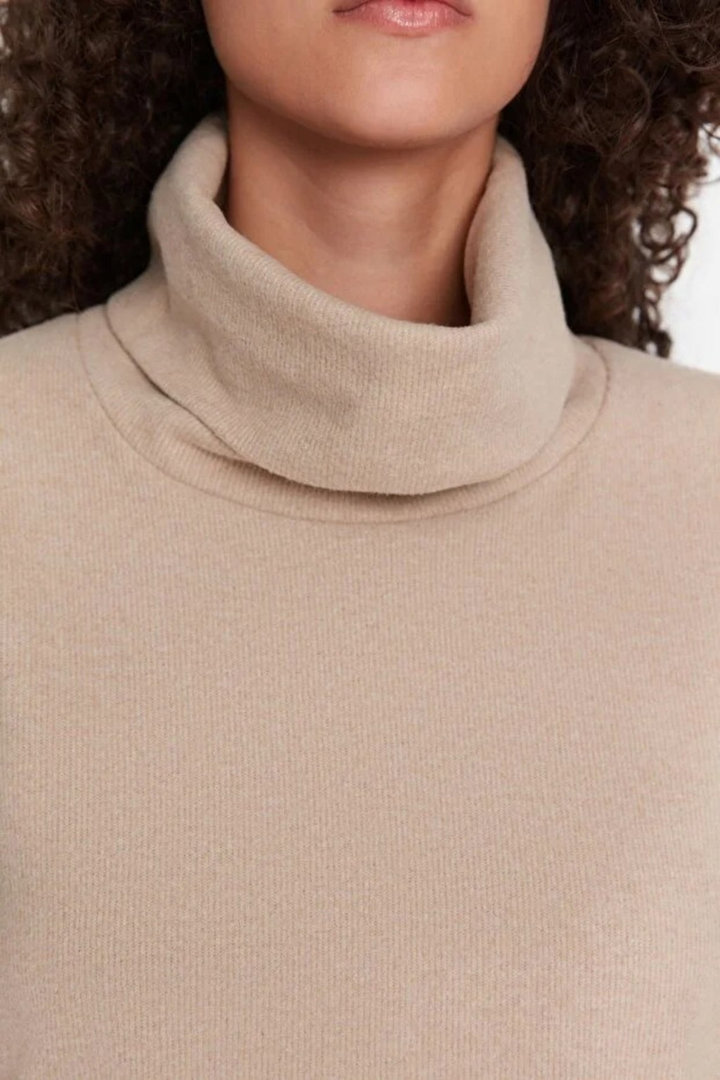 Turtleneck Long Sleeve Knit Mini Dress