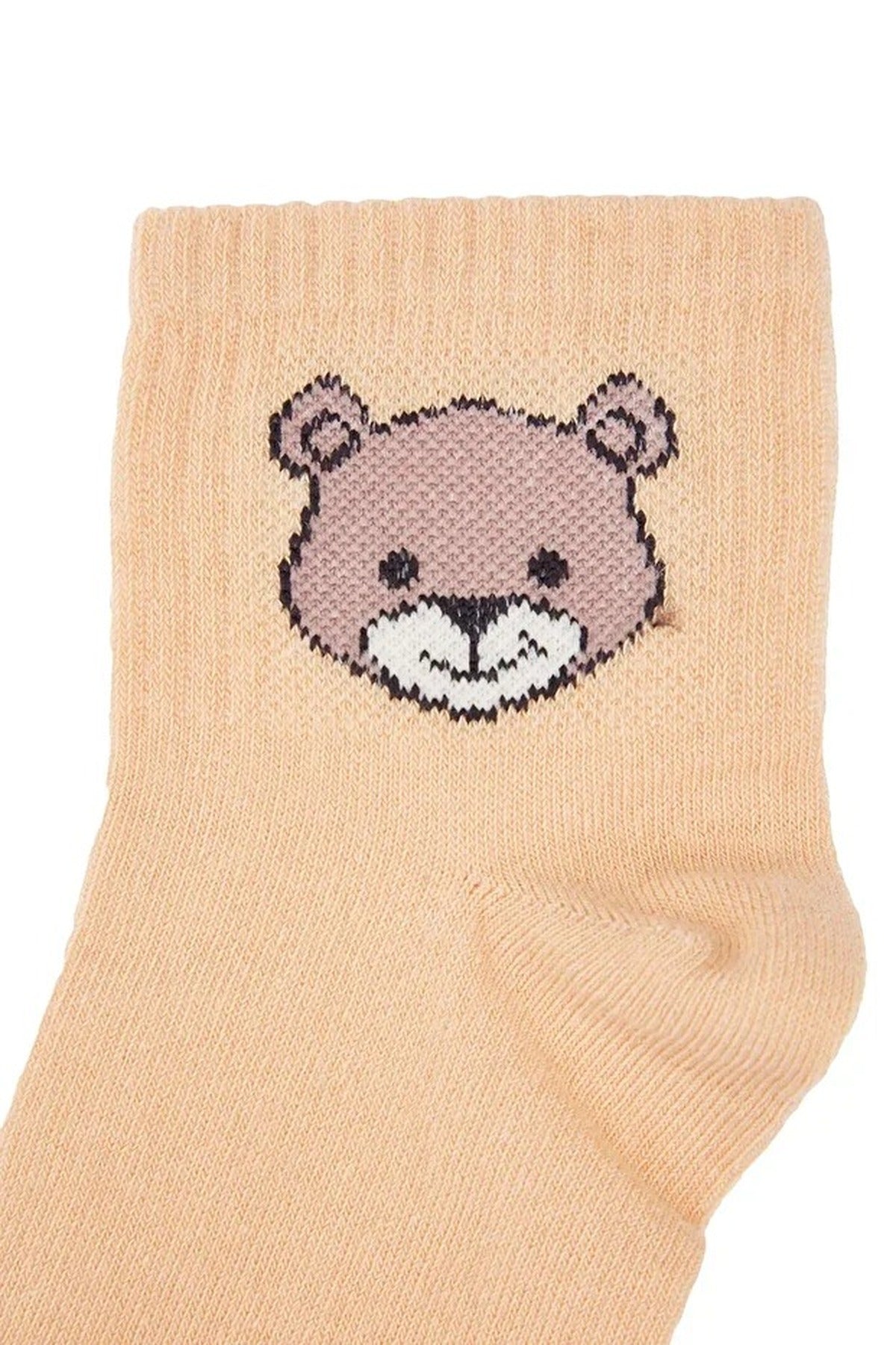5-Pack Cotton Teddy Bear Knit Socks