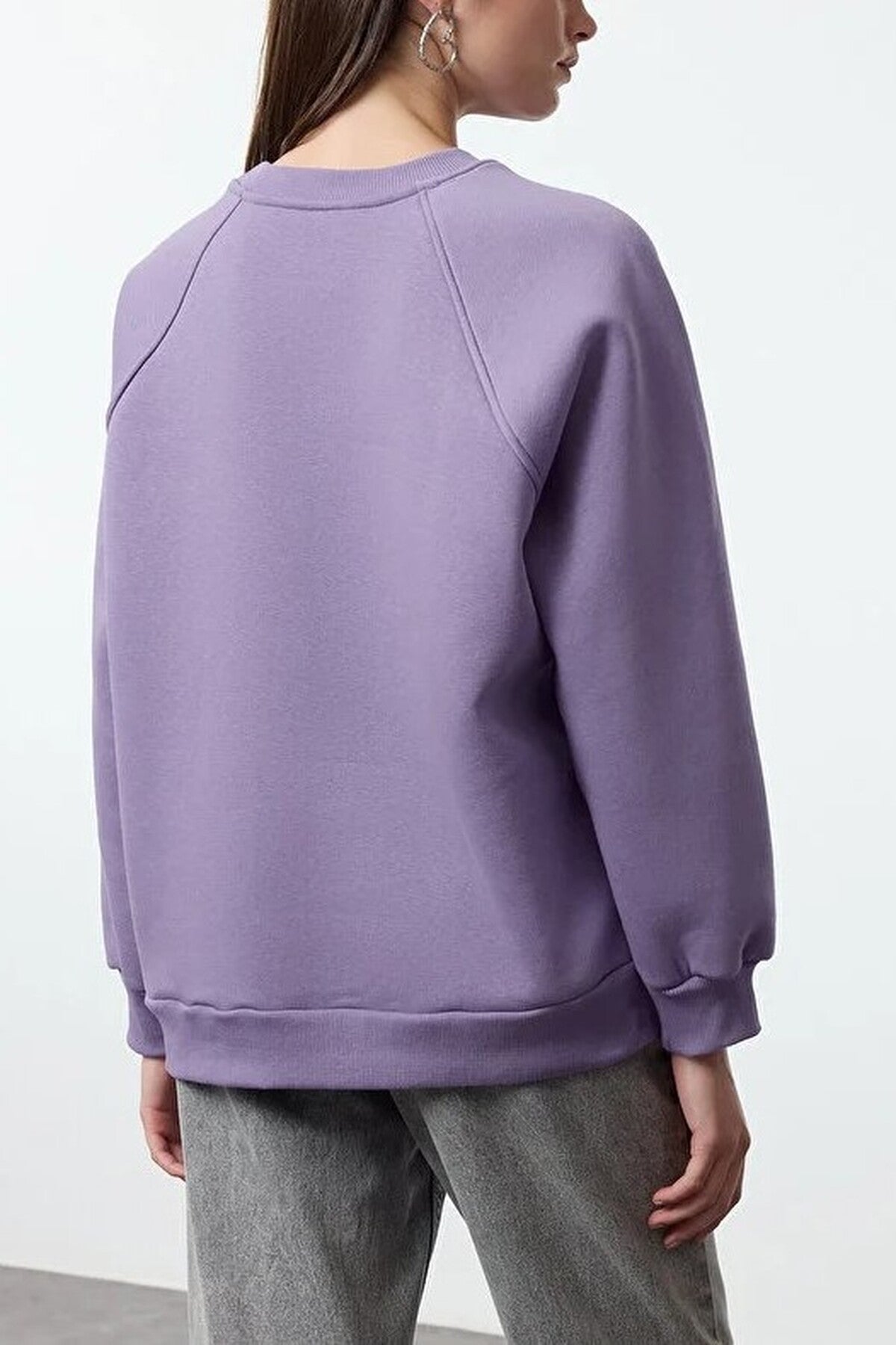 Basic Raglan Sleeve Crew Neck Knit Sweatshirt