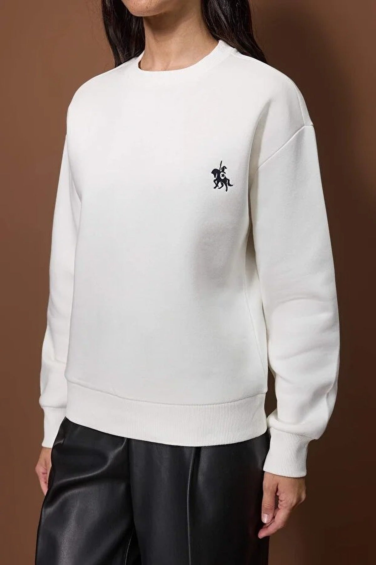 Fleece-Lined Regular Embroidered Knit Thick Sweatshirt