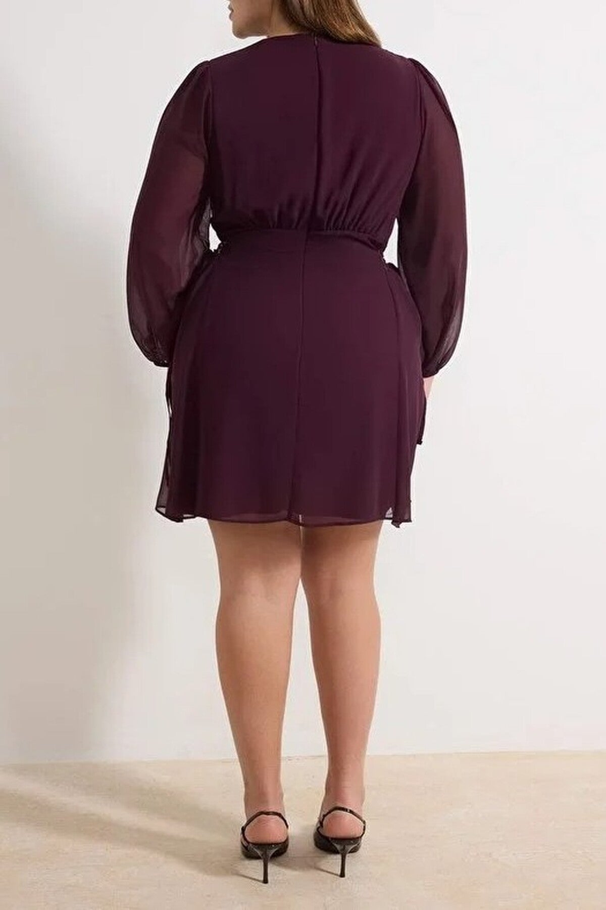 Chiffon Woven Dress with Eyelet Detail and Button Closure