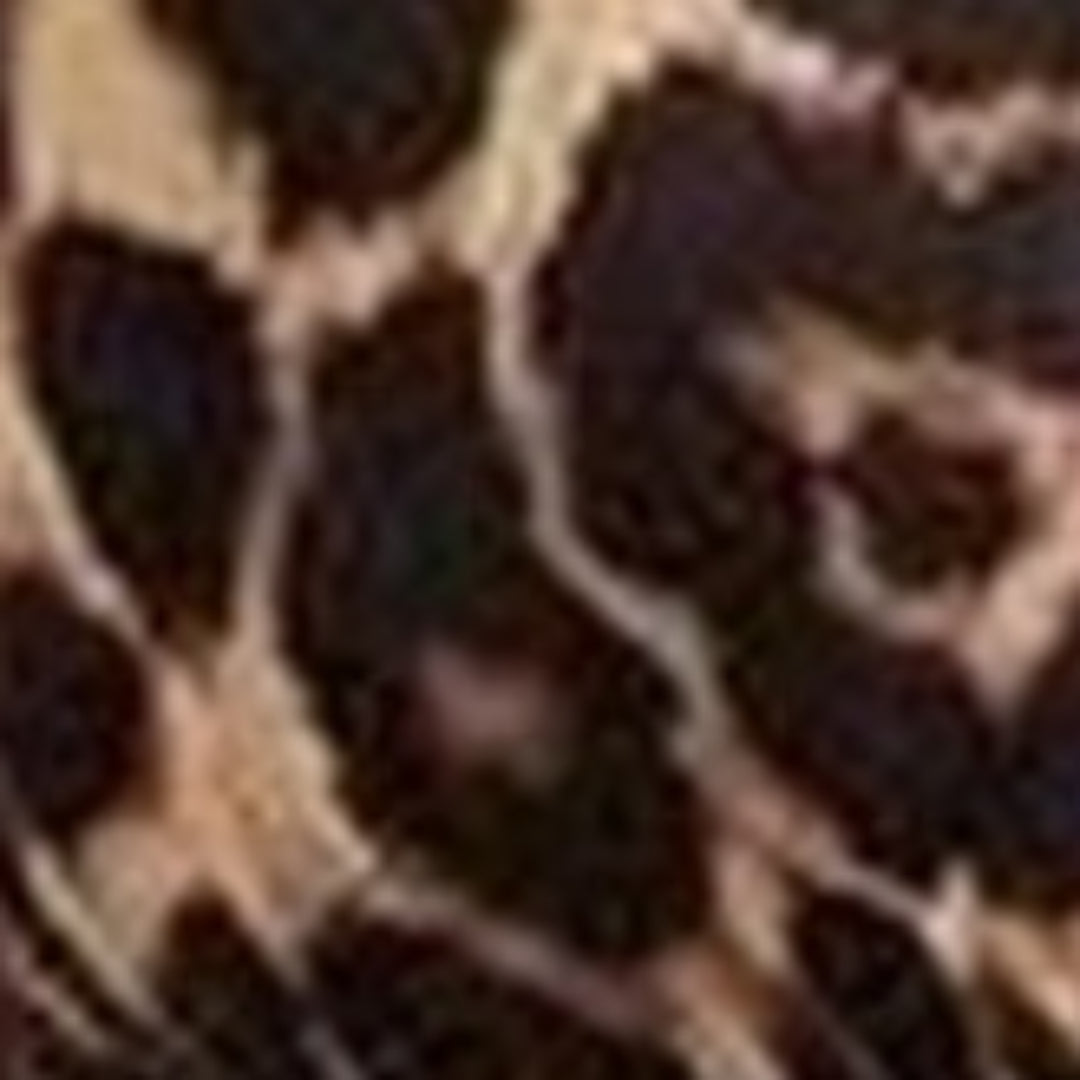 Leopard Print Triangle Covered Bikini Top with Accessories
