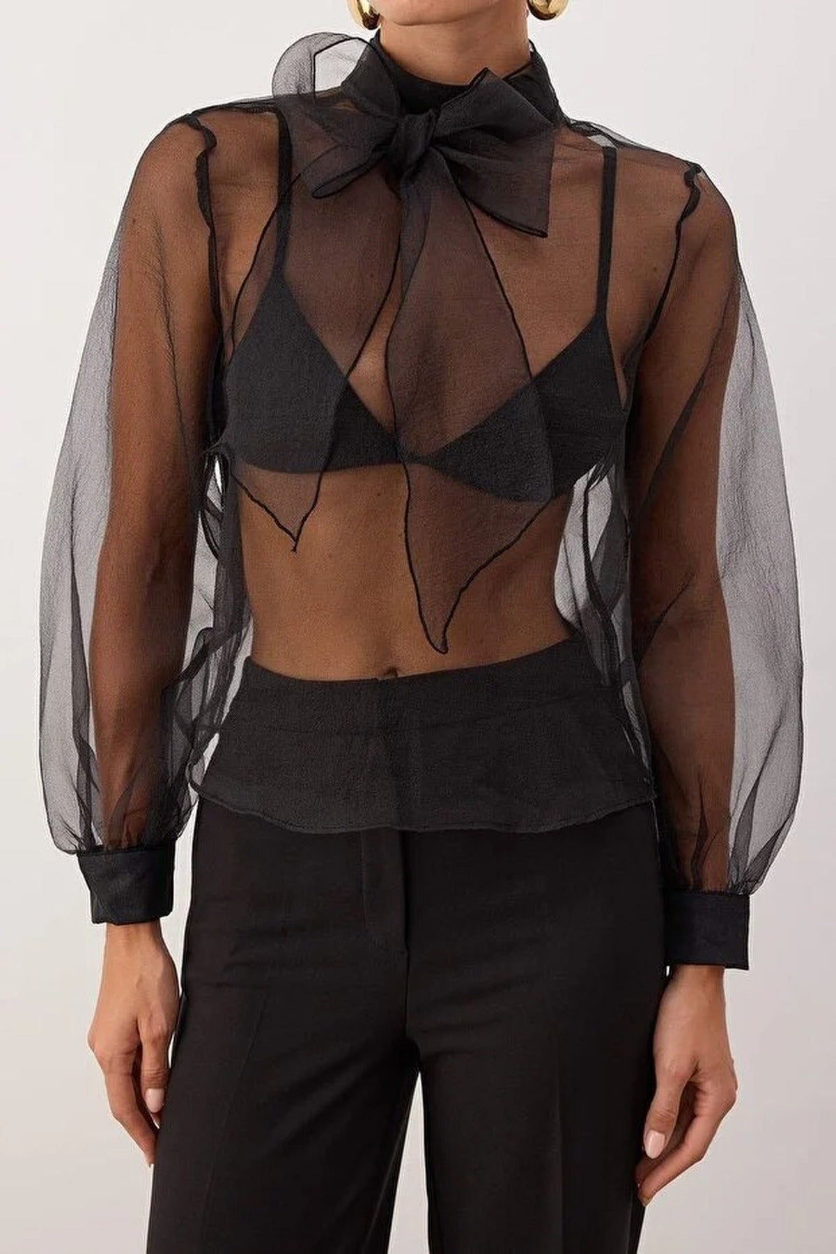 High Neck Long Sleeve Transparent Tulle Blouse
