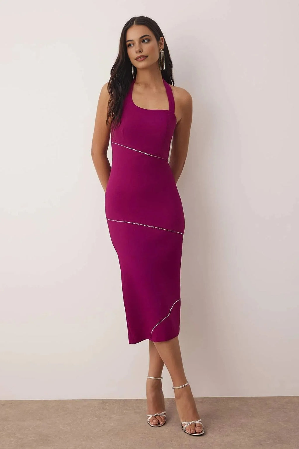 Fitted Embellished Woven Dress
