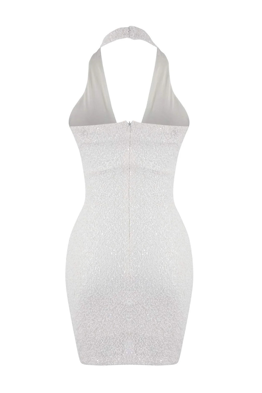 Degaje Neck Sleeveless Bodycon Mini Dress