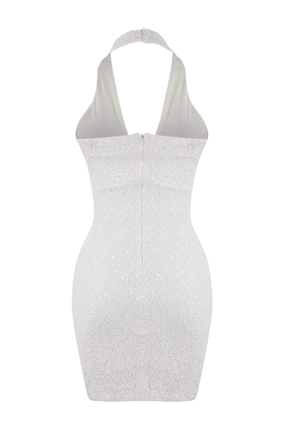 Degaje Neck Sleeveless Bodycon Mini Dress