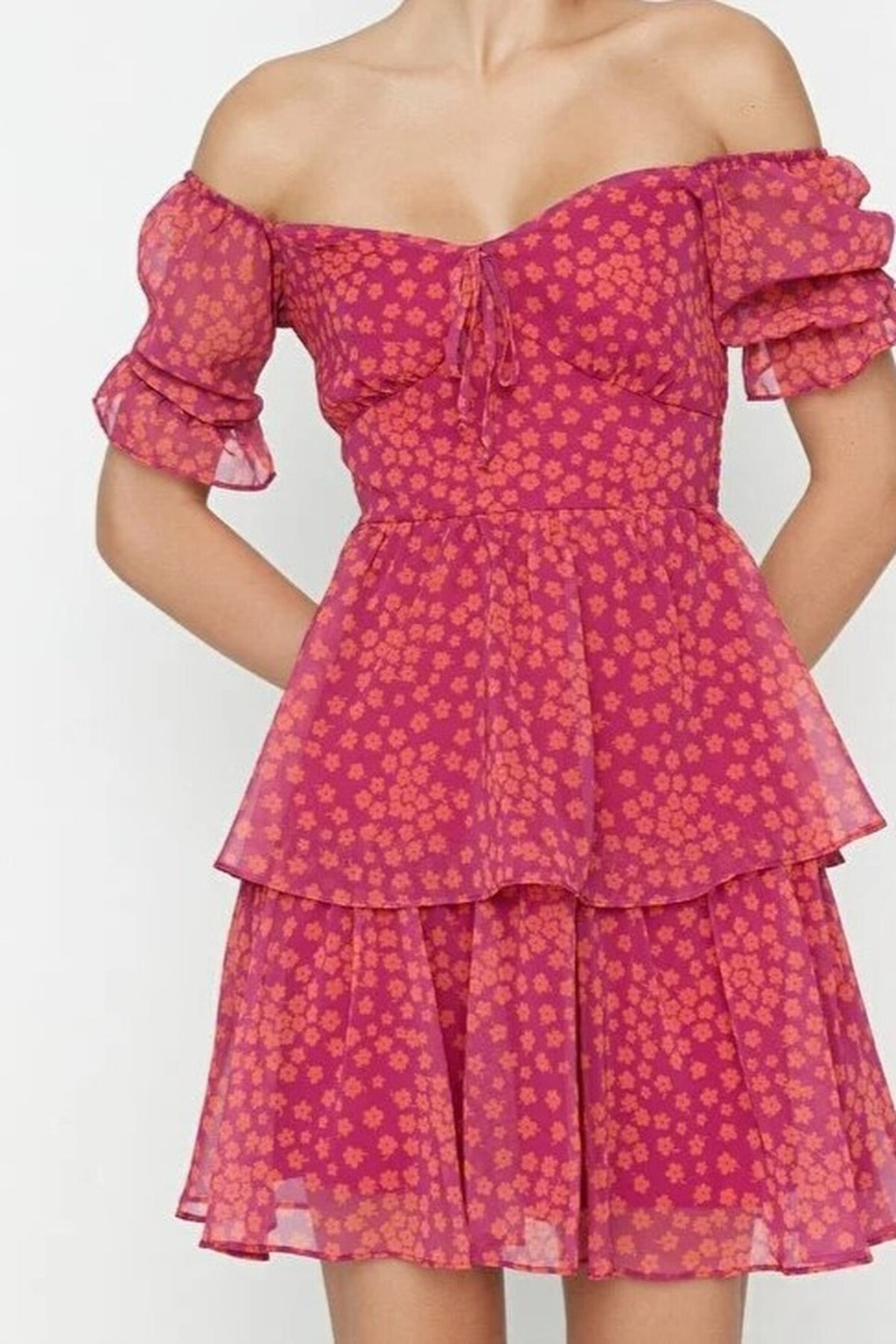 Floral Skater Chiffon Mini Lined Woven Dress with Ruffles