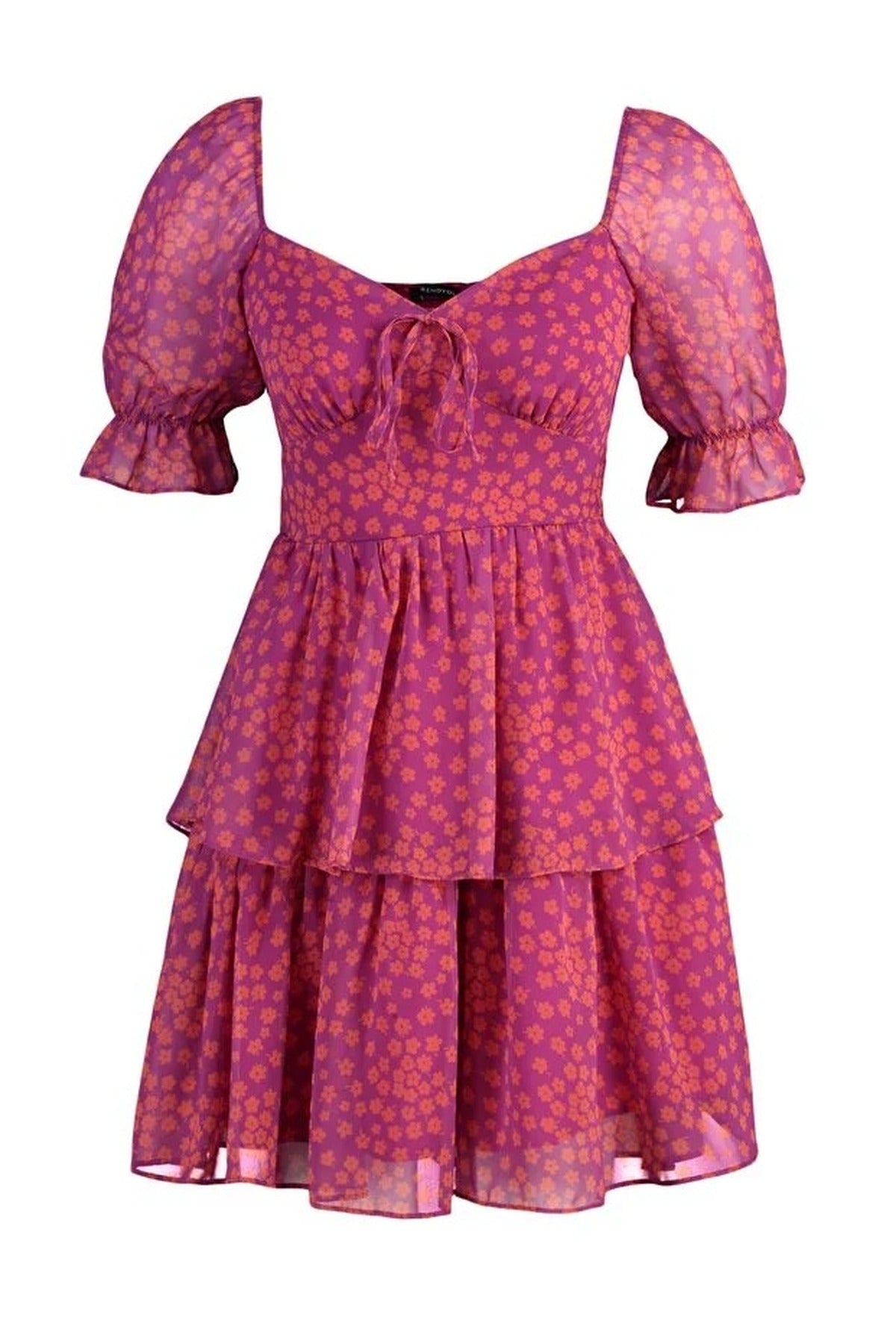 Floral Skater Chiffon Mini Lined Woven Dress with Ruffles