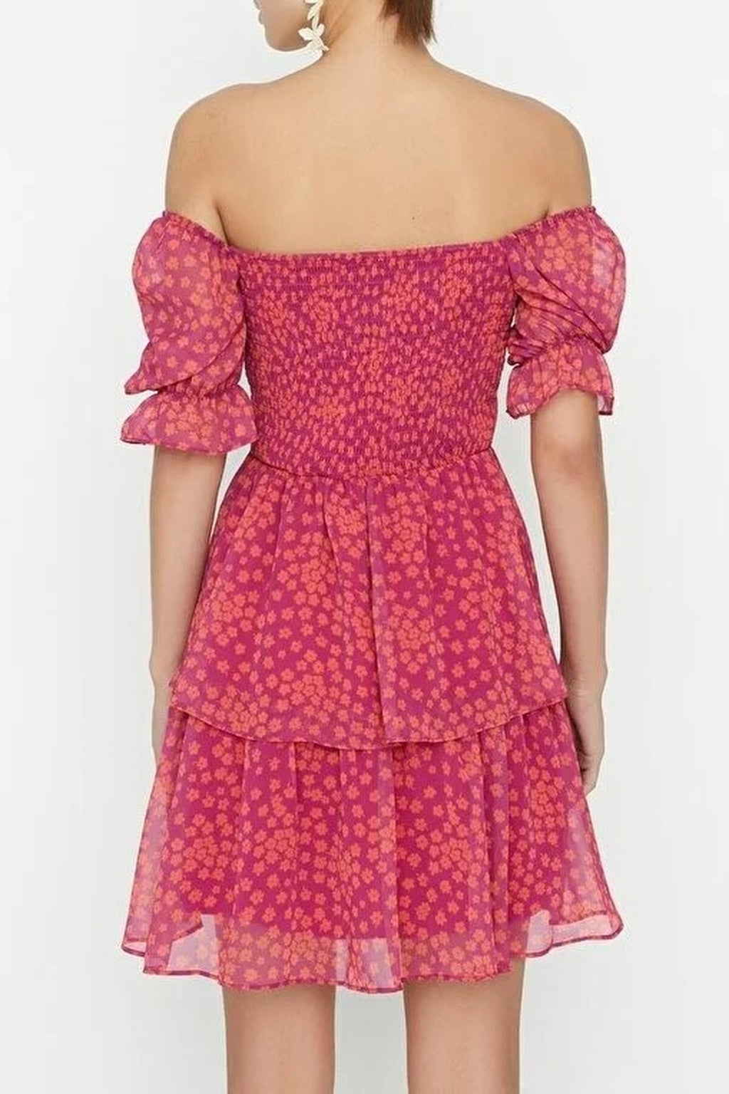 Floral Skater Chiffon Mini Lined Woven Dress with Ruffles