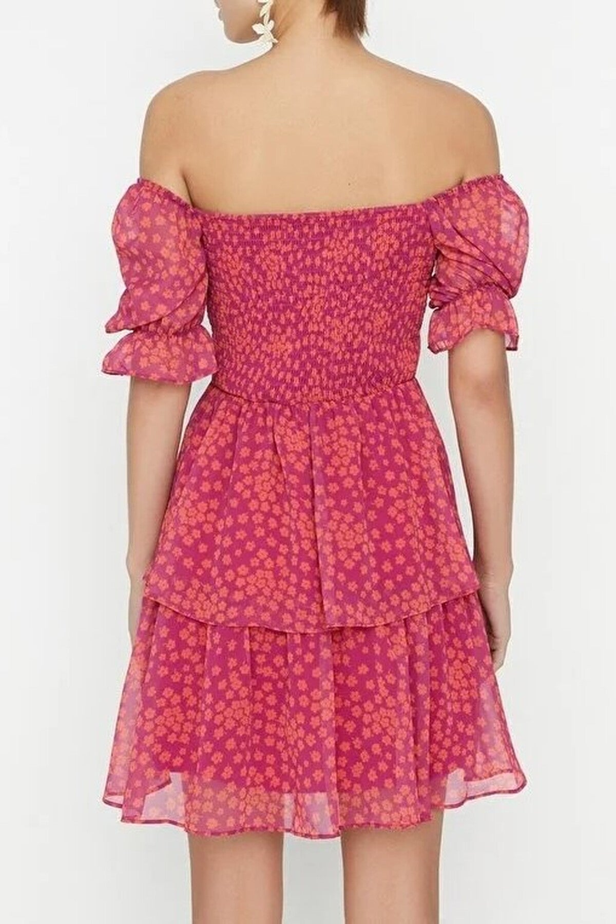 Floral Skater Chiffon Mini Lined Woven Dress with Ruffles