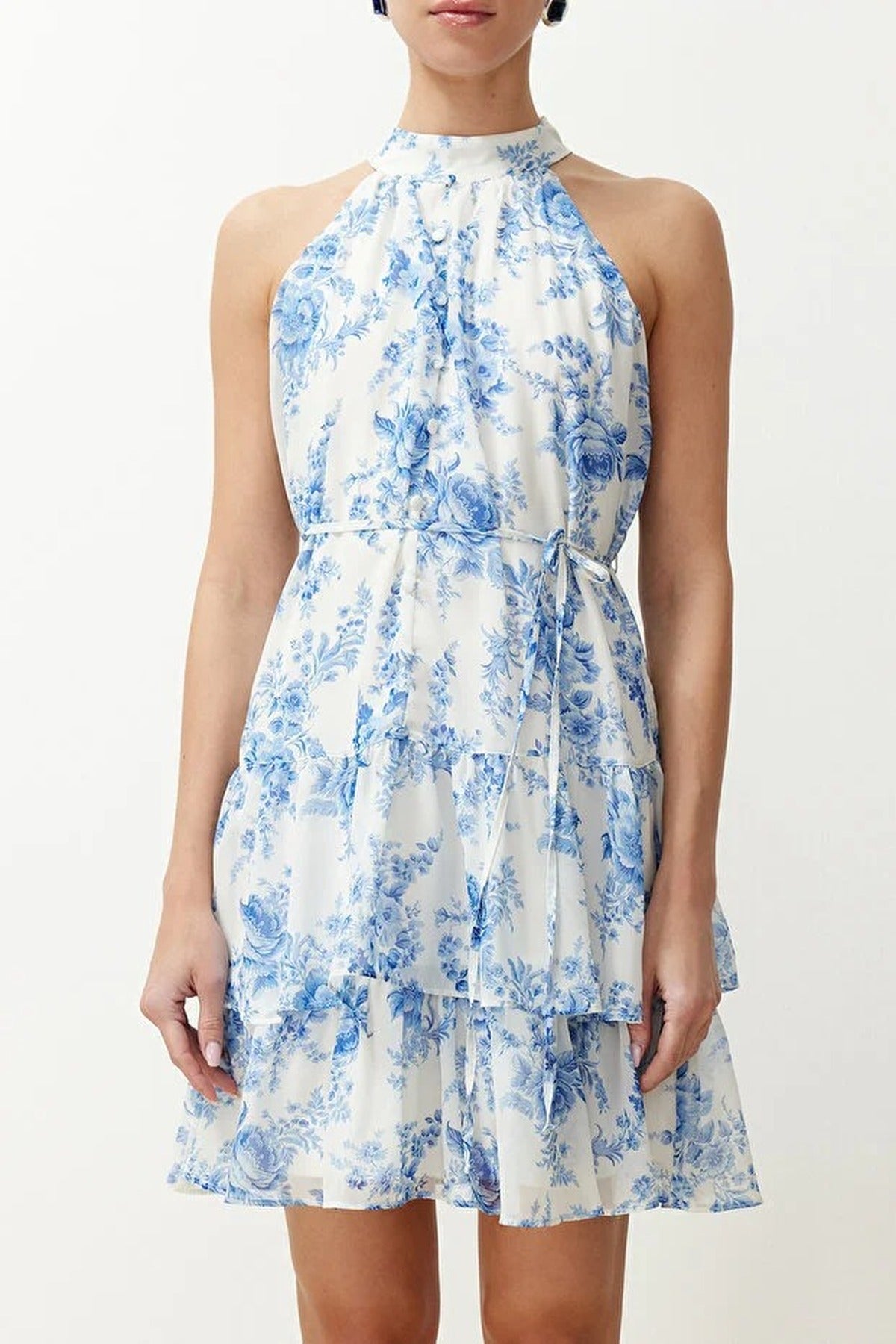 Floral Pattern A-Line Lined Chiffon Flowy Woven Mini Dress