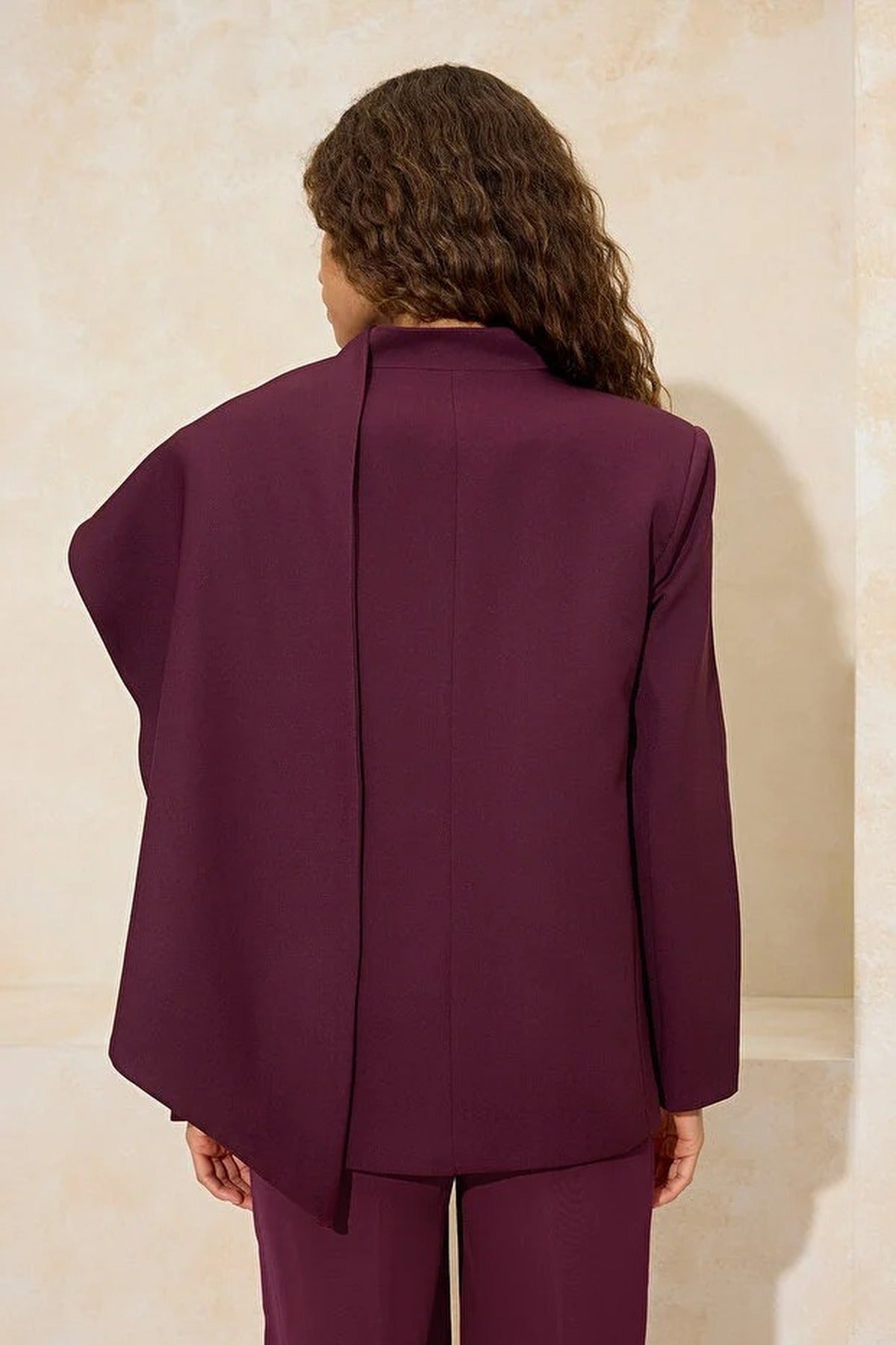 Shawl Collar Regular Fit Woven Lined Padded Blazer Jacket