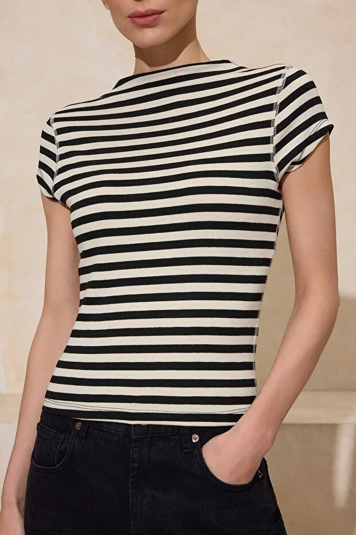 Striped Fitted High Neck Short Sleeve Soft Knit Blouse
