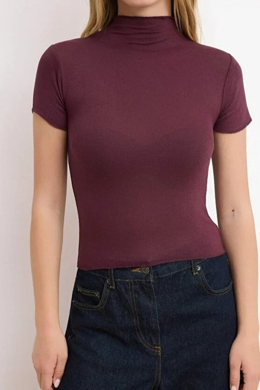 Fitted High Neck Short Sleeve Transparent Knitted Blouse
