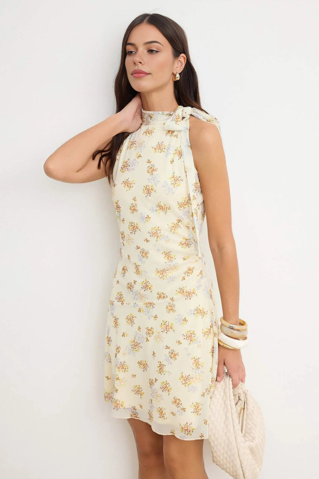 Printed Halter Neck Sleeveless Flared Tulle Skater Mini Dress